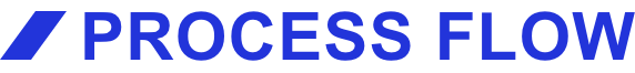process flow